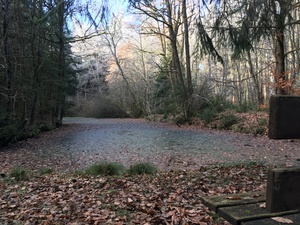 Der Ziegelweiher im Herbst