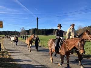 3-Königs-Umritt - Viele Reiter auf einer Straße